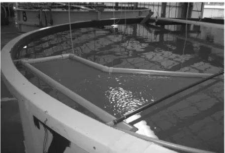 Fig. 2.1. Surface skimmer for the surface film removal on  rearing water used in Experiment 1