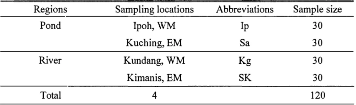 Table  6.  List  of  sample  sizes  and  sample  abbreviations  for  mtDNA  analysis  according to the sampling locations 