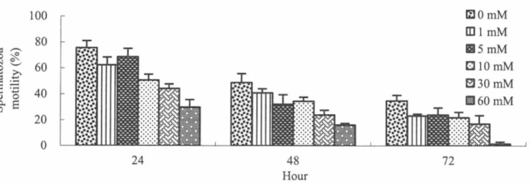 Fig.  2.5  The  spermatozoa  motility  at  15  s  after  activation. 