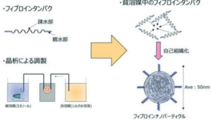 Fig. 2　Internal structure of silk 8） ．