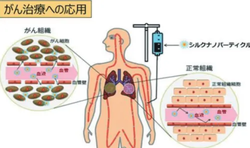 Fig. 6　Examples of molding applications for various forms of silk fibroin.