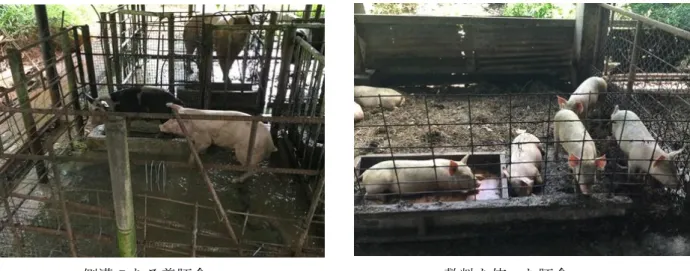 図 2-7  Animal Production Project の構想図 