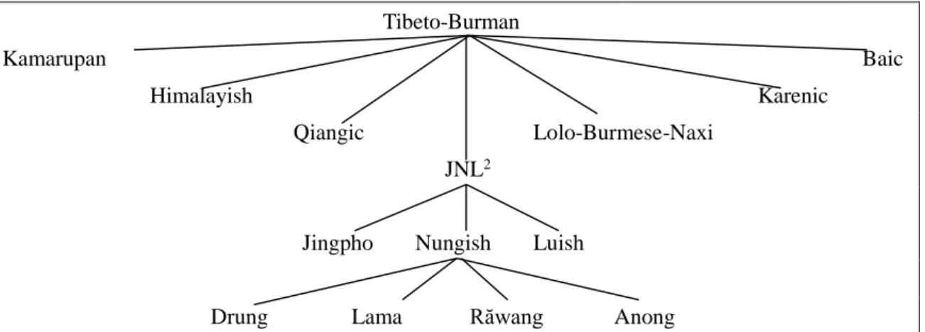 図 1: TB におけるラワン語の位置 