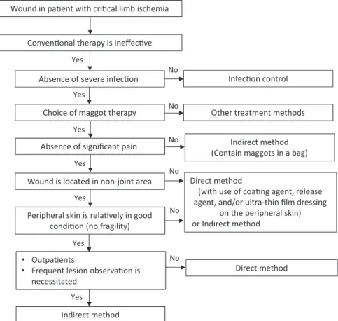 Figure 4. Flow chart for selection of maggot debridement and dressing methods in our hospital.