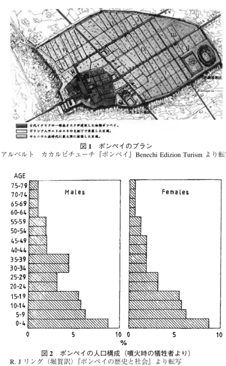 図 2 ポンペイの人口構成（噴火時の犠牲者より）