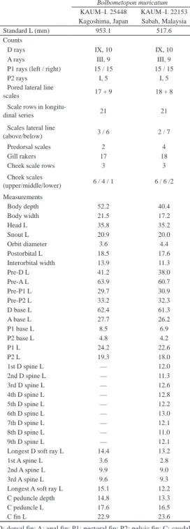 Table 1. Counts and measurements, expressed as percentages of  standard length, of specimens of Bolbometopon muricatum.