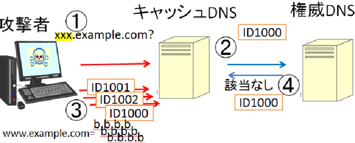 図 3.2  Kaminsky 攻撃  3.1.4  攻撃観測  筆者らは 2010 年 1 月 1 日から 12 月 31 日の間,熊本大キャンパスネットワーク内トップ ドメインの DNS を観測し,二つの方法で５回の Kaminsky 攻撃を検出した