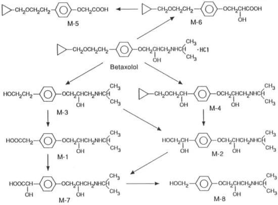 Fig.  5  Proposed  metabolic  pathways  of  Betaxolol  in  dogs. 2．1%，0．5%，0．8%お よ び1．7%排 泄 され ，M‑7 は 検 出 さ れ な か っ た ． 考 察 Betaxololの 体 内 動 態 に お け る 動 物 種 差 を 明 ら か に す る 目 的 で ，14C‑Betaxolo1を イ ヌ に 投 与 し た と き の 吸 収 ， 排 泄 お よ び 代 謝 に つ い て 検 討 した ． 14C‑