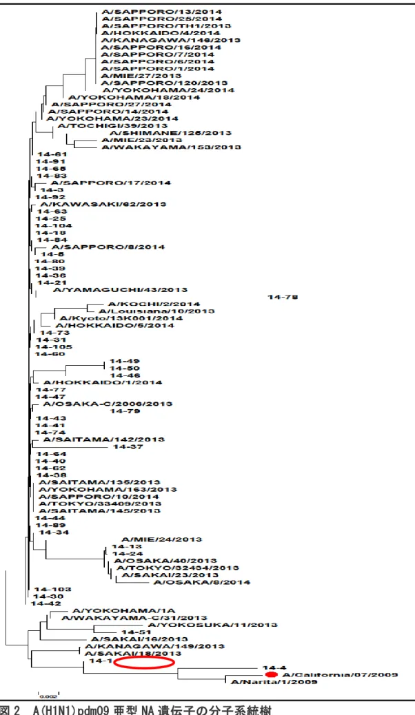 図 2  A(H1N1)pdm09 亜型 NA 遺伝子の分子系統樹 