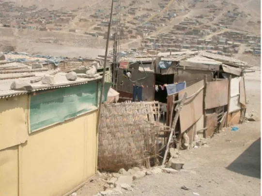 Figure 2.1 Housing conditions in the squatter settlement in Manchay, Lima-Peru. Source: Sakay, 2011
