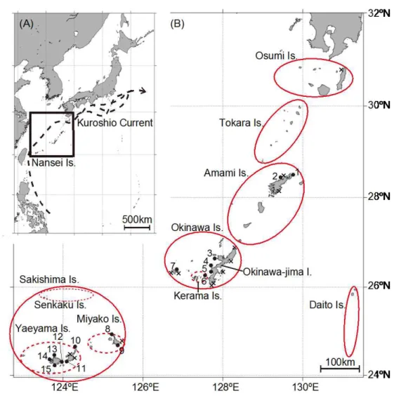 図 3.2.2-6  ウスエダミドリイシ調査地点  赤丸は南西諸島の群島を示す。  2) 結果と考察  ①  遺伝的多様性とクローンの有無  奄美大島ではウスエダミドリイシの生息が確認され、集団サイズも大きかっ たが、種子島北では生息が確認できなかった。種子島南、屋久島では海況悪化 のため調査できなかったが、過去の文献情報や他の南方系ミドリイシの分布記 録と合わせても、ウスエダミドリイシの分布の北限はトカラ列島周辺と予測で きる。マイクロサテライトを用いた集団解析にはまとまった群体数が必要であ るため、約 
