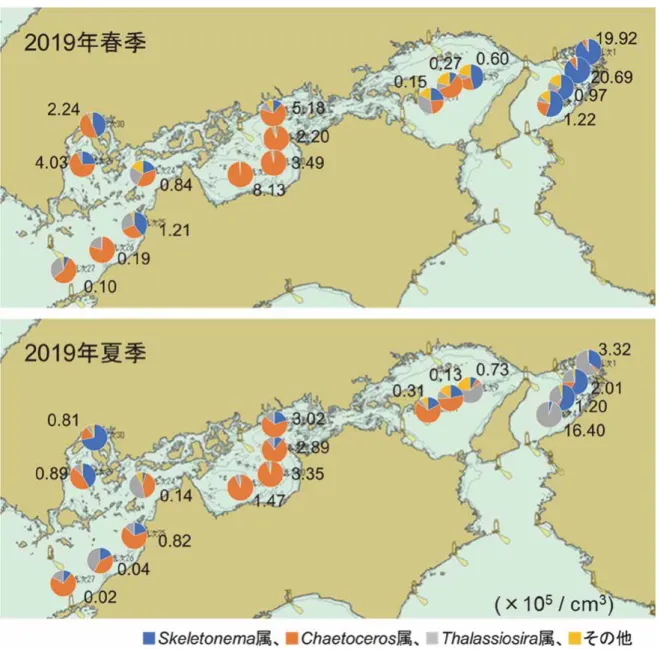 図 2  2019 年春季および夏季の瀬戸内海の海底泥における各種珪藻休眠期細胞の密度