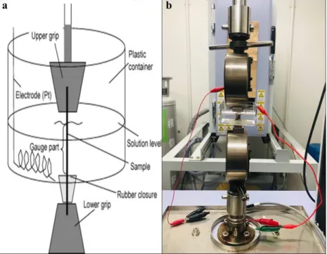 Fig. 2.4. (a) schematic [50] and (b) image of installation of tools into a cell for hydrogen- hydrogen-charged experiments