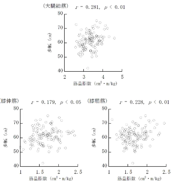 図 3-4  大腿部の筋量指数と歩幅との関係性 (n=124) 