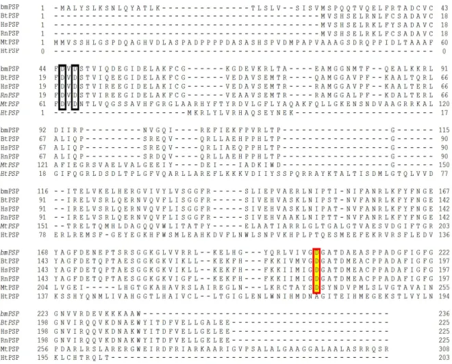 Fig. 3.1. Multiple alignment of the deduced amino acid sequence of PSP. 