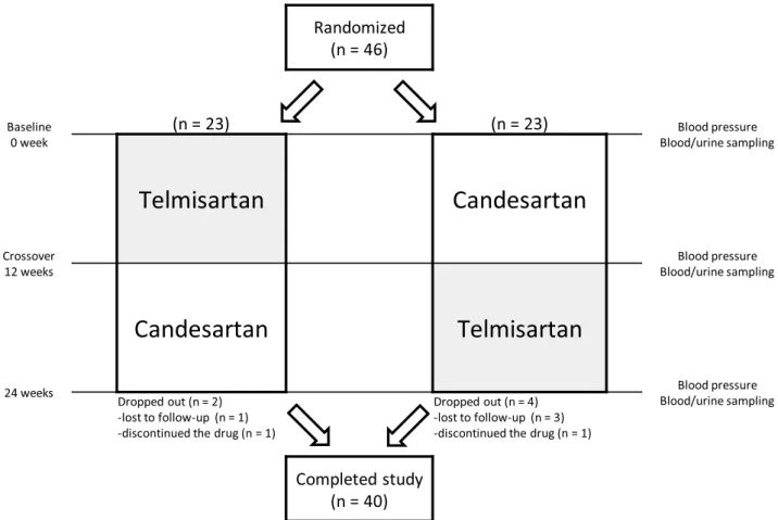 FIGURE 1. Crossover study design. Assessments were made at 0, 12, and 24 weeks after randomization.