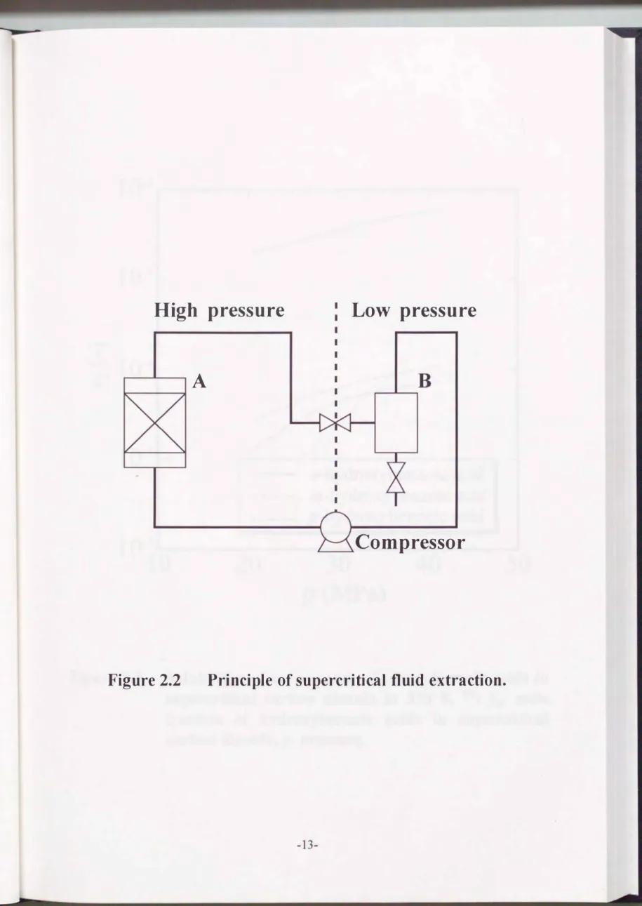 Figure 2.2  Principle  of supercritical fluid extraction. 