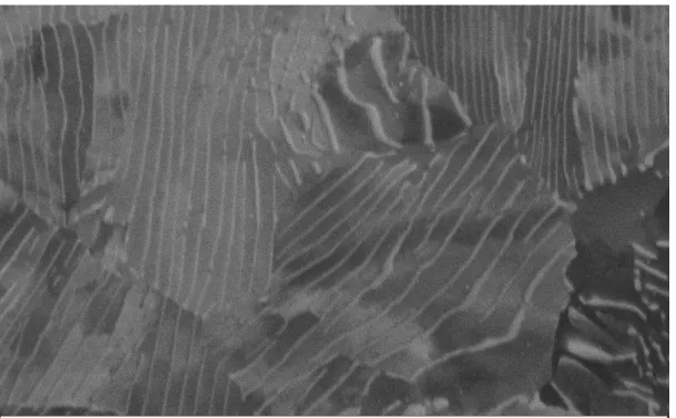 Fig.  2  is  the  schematic  of  pearlite  microstructure.  In  pearlite,  the  lamellae  show  no 