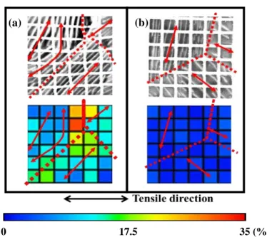 Fig.  4  Distribution  of  plastic  strain     propagation  at  drawing  strain  pl   5%   around  block/colony  boundaries