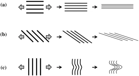 Fig. 11 Basic types of the morphology of cementite in pearlite microstructure.