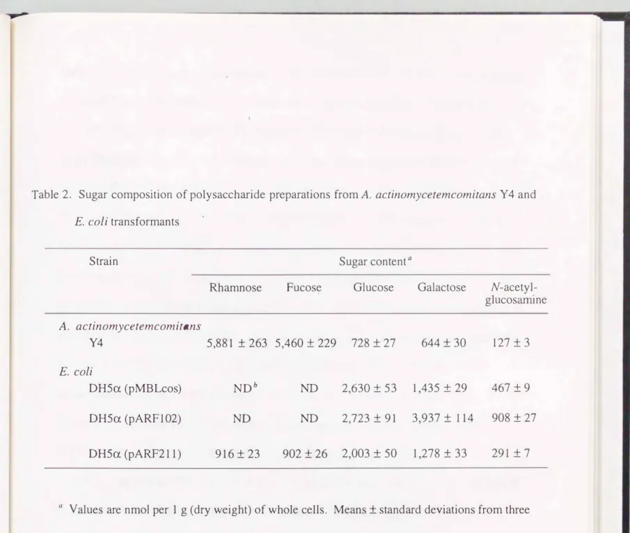 Table  2.  Sugar  composition  of polysaccharide  preparations  from A.  actinomycetemcomitans  Y 4 and  E