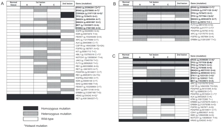 Fig.  3. Next-generation  sequencing  results.  Next-generation  sequencing  was  performed  in  three patients in frozen  samples  from  three  sampling  regions  (columns  A,  B, and  C)  from  the  ﬁrst lesion, the second  lesion,  and  normal tissue