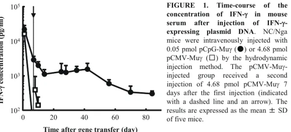 FIGURE 2. Time-course of the concentration of IL-12 (a) and IgE (b) in mouse serum after injection of IFN- γ -expressing plasmid DNA