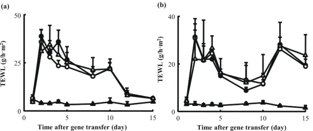 FIGURE 10. Time-course of the TEWL of the back skin of mice in a stripped skin (a) and a TNCB- TNCB-induced dermatitis model (b)