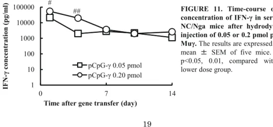 Figure 11 shows the time-course of the concentrations of IFN-γ in the serum after hydrodynamic  injection of pCpG-Muγ