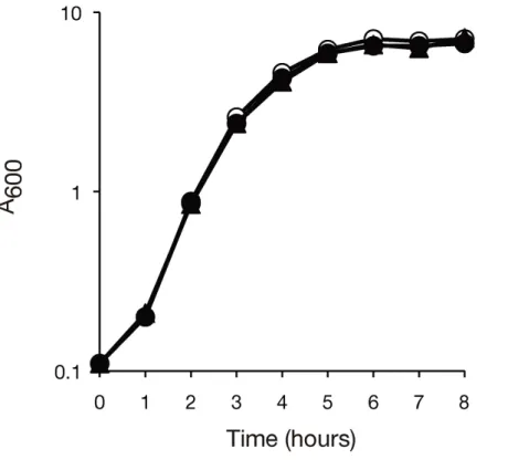 Figure 1-2  黄 色 ブ ド ウ 球 菌 の SA0447, SA1022  遺 伝 子 破 壊 株 の 増 殖 能