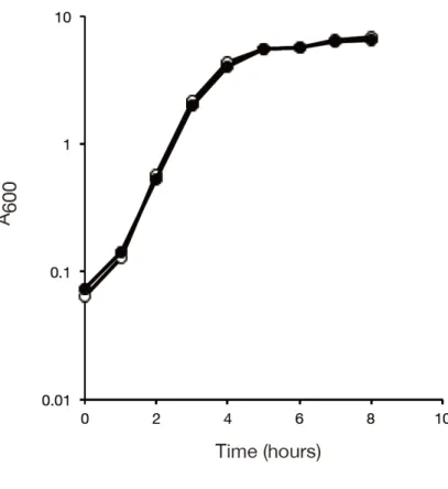 Figure 4-1  黄 色 ブ ド ウ 球 菌 の rsmA 遺 伝 子 破 壊 株 の 増 殖 