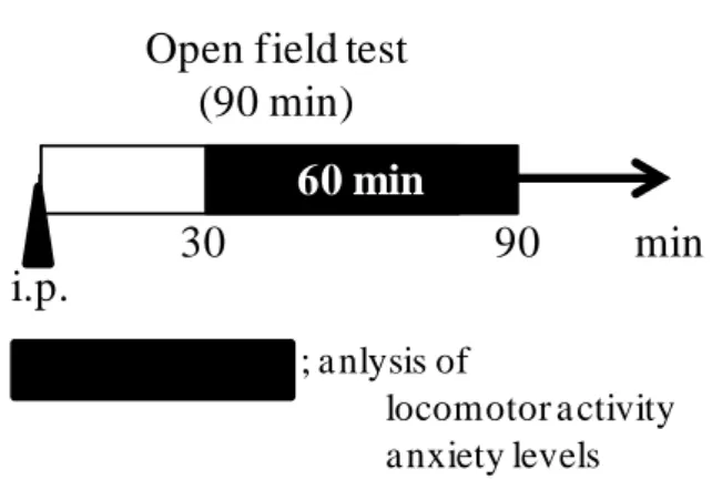 Fig. 6 Outline of the open field test. 