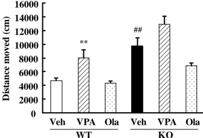 Fig. 7  The effect of single treatment of valproate (VPA) and olanzapine (Ola) on the locomtor  activity of WT and DGK β KO mice.
