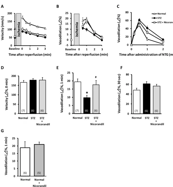 Figure 1. Effect of nicorandil on endothelial dysfunction induced in rats by  STZ 
