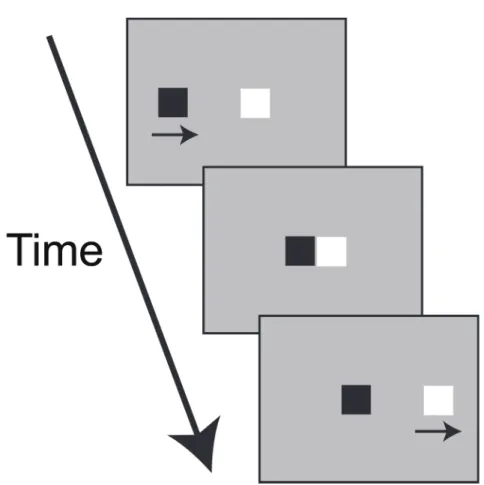 Figure 4. The schematic illustration of typical display inducing launching effect. The  black square is “launcher,” and the white one is “target.” Black arrows in the display  indicate the physical motion directions of objects