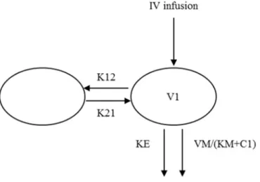 Figure 3. Schematic of PK Model 