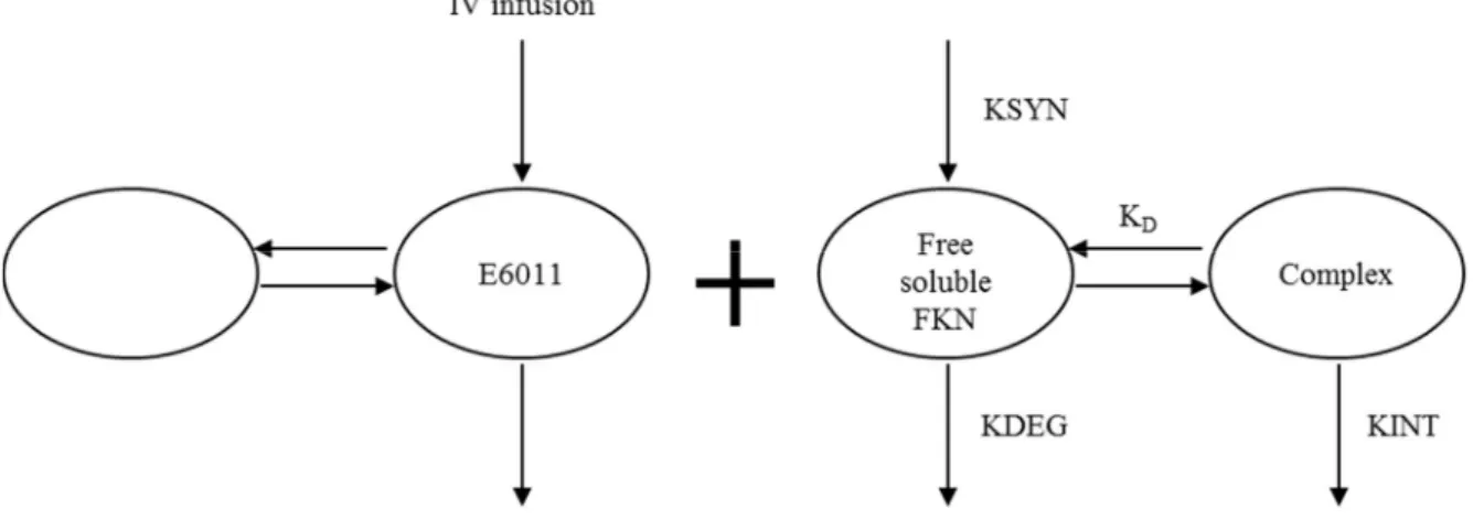 Figure 6. Schematic of PK/PD Model 