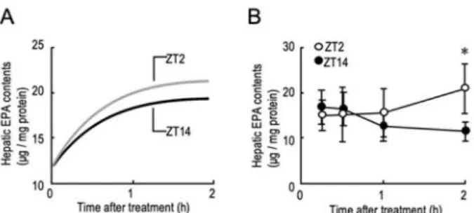 Figure 4 Simulation of time-dependent change in the  disposition of FATP5 substrate. (A) Simulation of the time  course of hepatic uptake of FATP5 substrate after its  intravenous administration