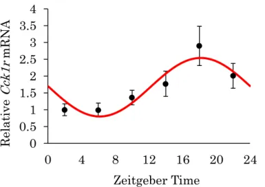 Fig. 5. Daily rhythm of Cck1r mRNA expression in the mouse retina.   