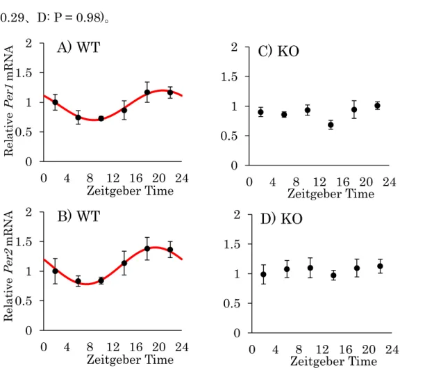 Fig. 6. Daily rhythm of Per1 and Per2 mRNA expression in the mouse retina.   