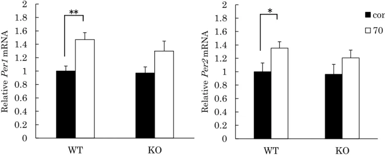 Fig. 9. Light-induced Per1, Per2 mRNA expression in the mouse SCN. 