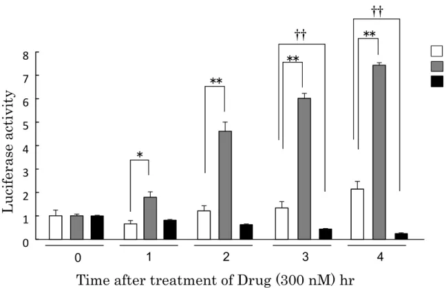Fig. 12 Luciferase activity by CCK receptor stimulation or blockade in  PER2::LUC mouse astrocytes