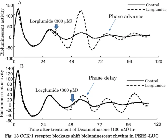 Fig. 13 CCK-1 receptor blockage shift bioluminescent rhythm in PER2::LUC  mouse astrocytes