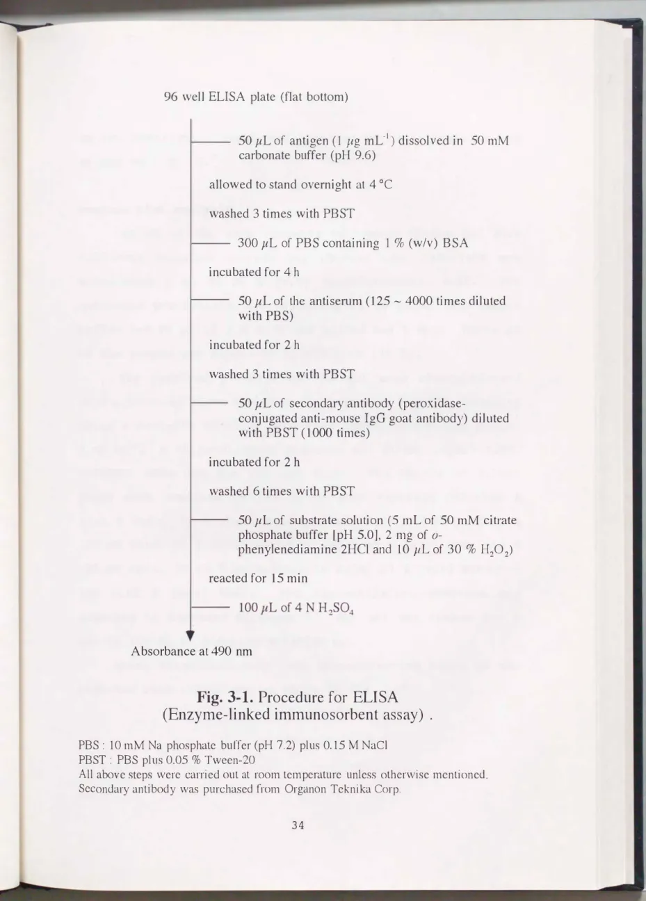 Fig.  3-1.  Procedure for  ELISA  (Enzyme-linked immunosorbent assay)  . 