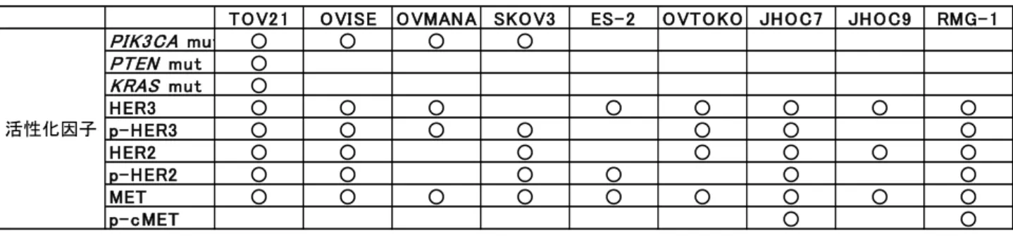 図 5 の付表  OCCA 細胞株における RTK-PI3K-AKT 経路の活性化因子 