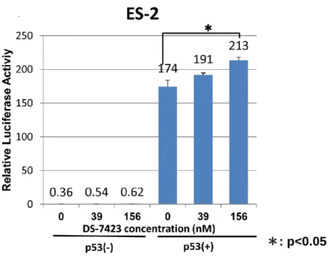 図 14  DS-7423 によるアポトーシス誘導における TP53 活性化の必要性  A.  TP53 変異を有さない OVISE 株の TP53 を 2 種類の TP53siRNA によってノックダ ウンした。 western blotting にて TP53 蛋白発現の低下が 90%以上であることが確認され た。  B