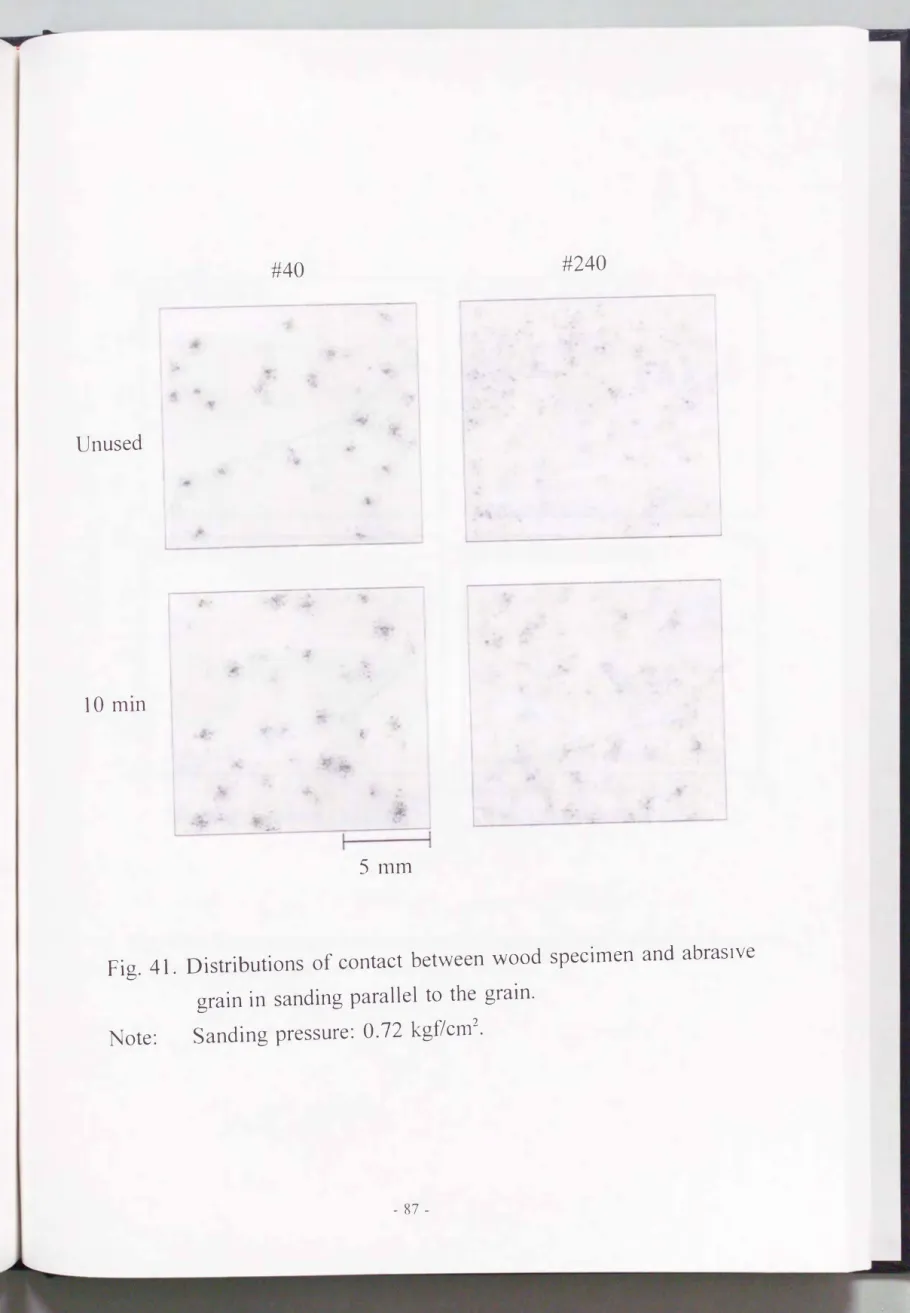 Fig.  41.  Distributions  of  contact  between  wood  specimen  and  abraSlve  grain in  sanding  parallel  to  the  graìn