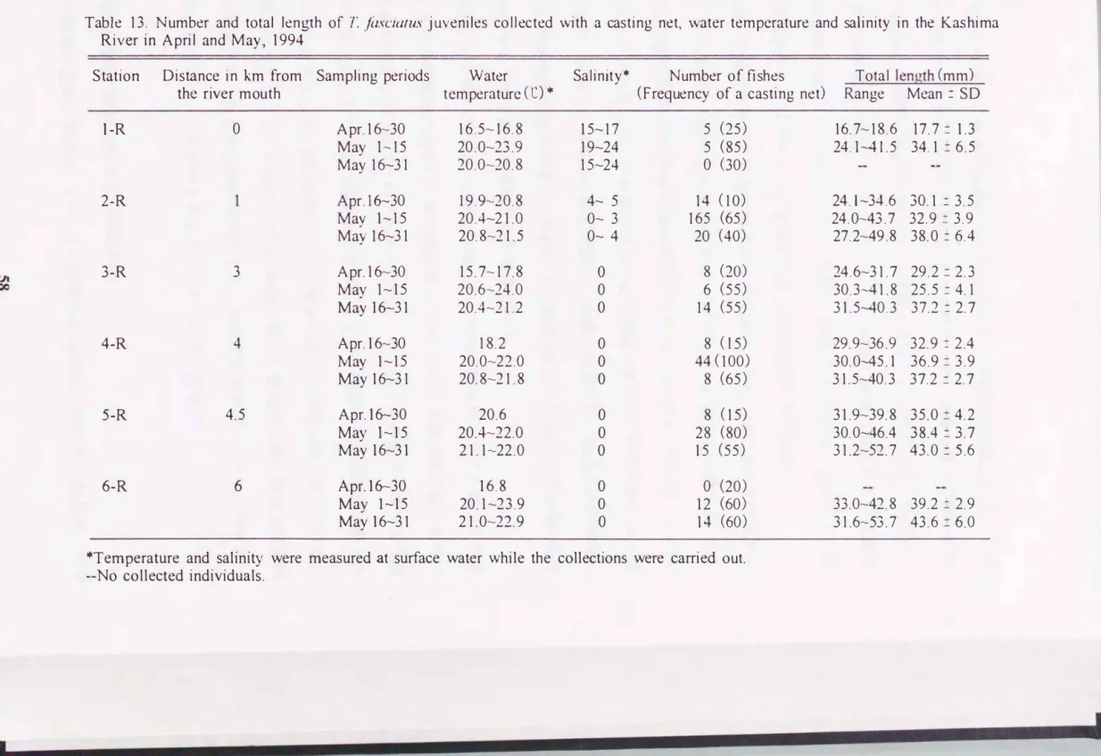 Table  13.  Number  and  total  len!:，rth  of  T  jú，'clωus  juveniles  collected  with  a  casting  net，  water  temperature  and  salinity  in  the  Kashima  River  in  April  and  May，  1994 