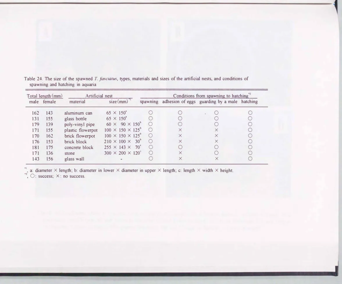 Table  24. 甘1e size  of  the  spawned  T.  jàscialus，  types，  materials  and  sizes  of the  artificial  nests，  and  conditions  of  spawning  and  hatching  in  aquaria 