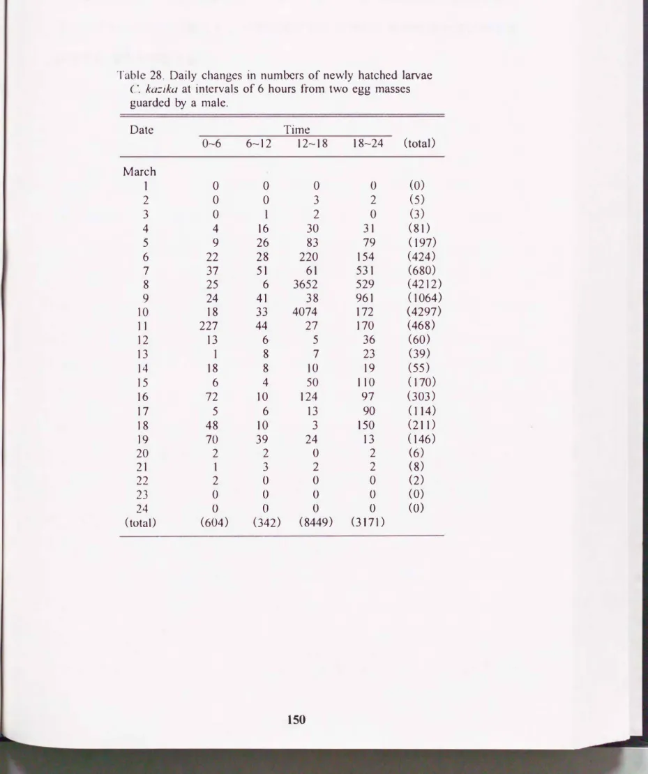 Table  28.  Daily  changes  in  nu m be rs  of newly  hatched  larvae  (�.  kaごika at  intervals  of 6  hours  from  two  egg  masses  guarded  by  a  male